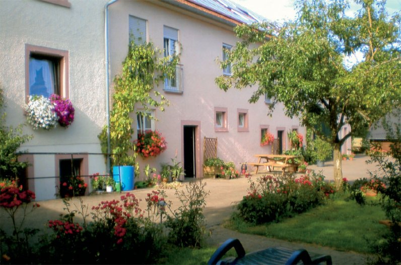 Ferienfarm Feinen in Rommersheim | Eifelhöfe - Urlaub auf dem Bauernhof
