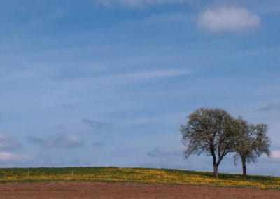 Viel Platz und Ruhe zur Erholung | Eifelhöfe - Urlaub auf dem Bauernhof