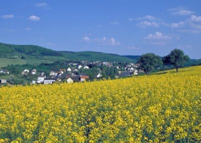 Holsthum | Eifelhöfe - Urlaub auf dem Bauernhof