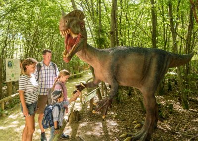 Dinosaurierpark Teufelsschlucht © Felsenland Südeifel Tourismus GmbH (Foto: Dominik Ketz) | Eifelhöfe - Urlaub auf dem Bauernhof - Landurlaub in der Eifel