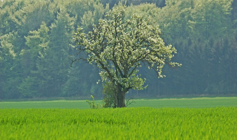 Südeifel Rundwege - Eifelhöfe Ausflugsziele