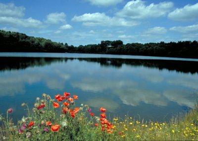 Genießen Sie eine entspannte Wanderung entlang des Weinfelder Maars | Eifelhöfe - Urlaub auf dem Bauernhof